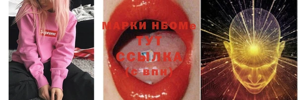 прущие грибы Алзамай