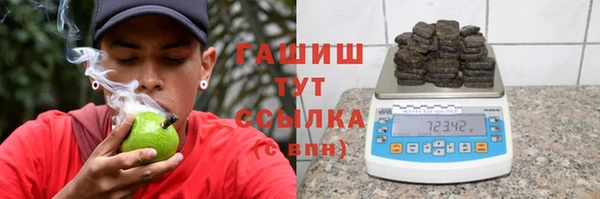 прущие грибы Алзамай