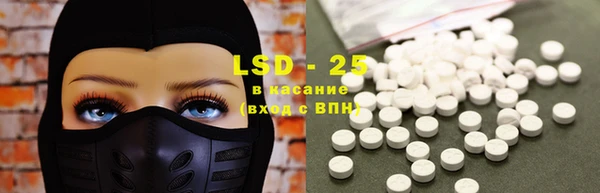 прущие грибы Алзамай