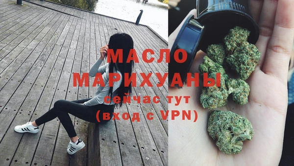 стаф Аркадак