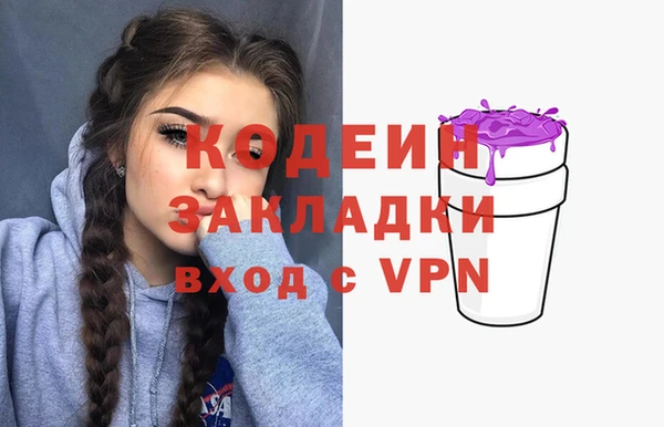 стаф Аркадак