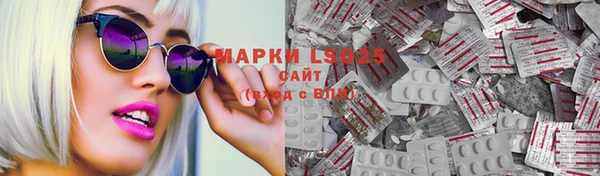 PSILOCYBIN Армянск