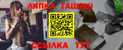 гидра Заводоуковск