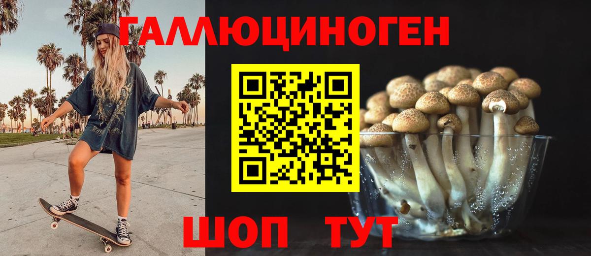 где купить наркоту  Вход с VPN  Сорочинск  Галлюциногенные грибы Psilocybe 